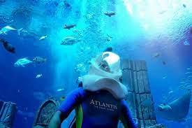 Atlantis Aquatrek