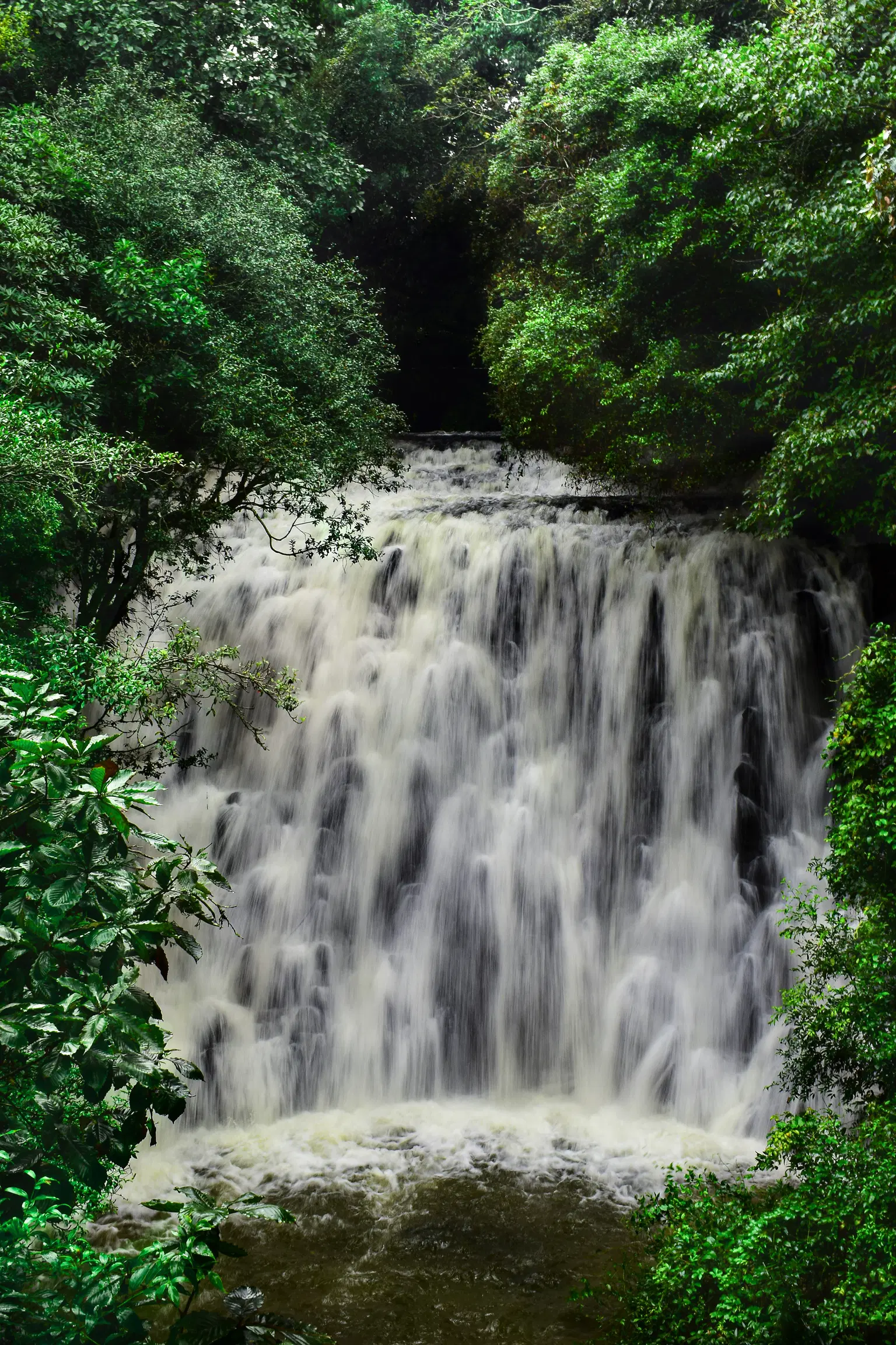 <em>Sikkim</em> Tour Packages From Raipur 