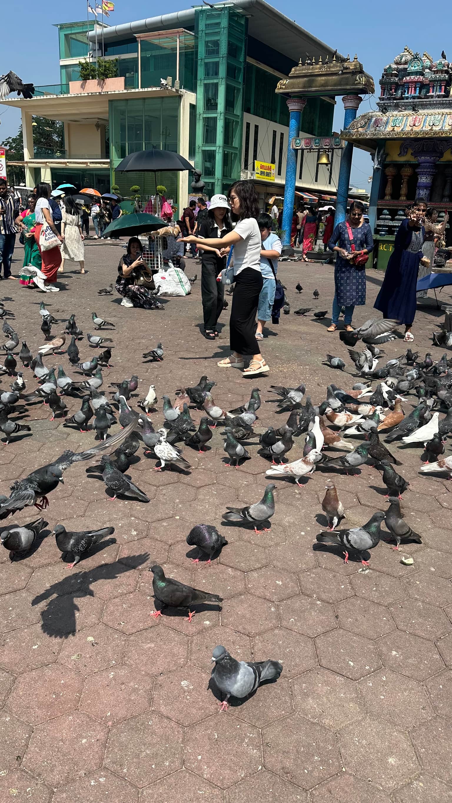 Photo from aruna moorthi's trip