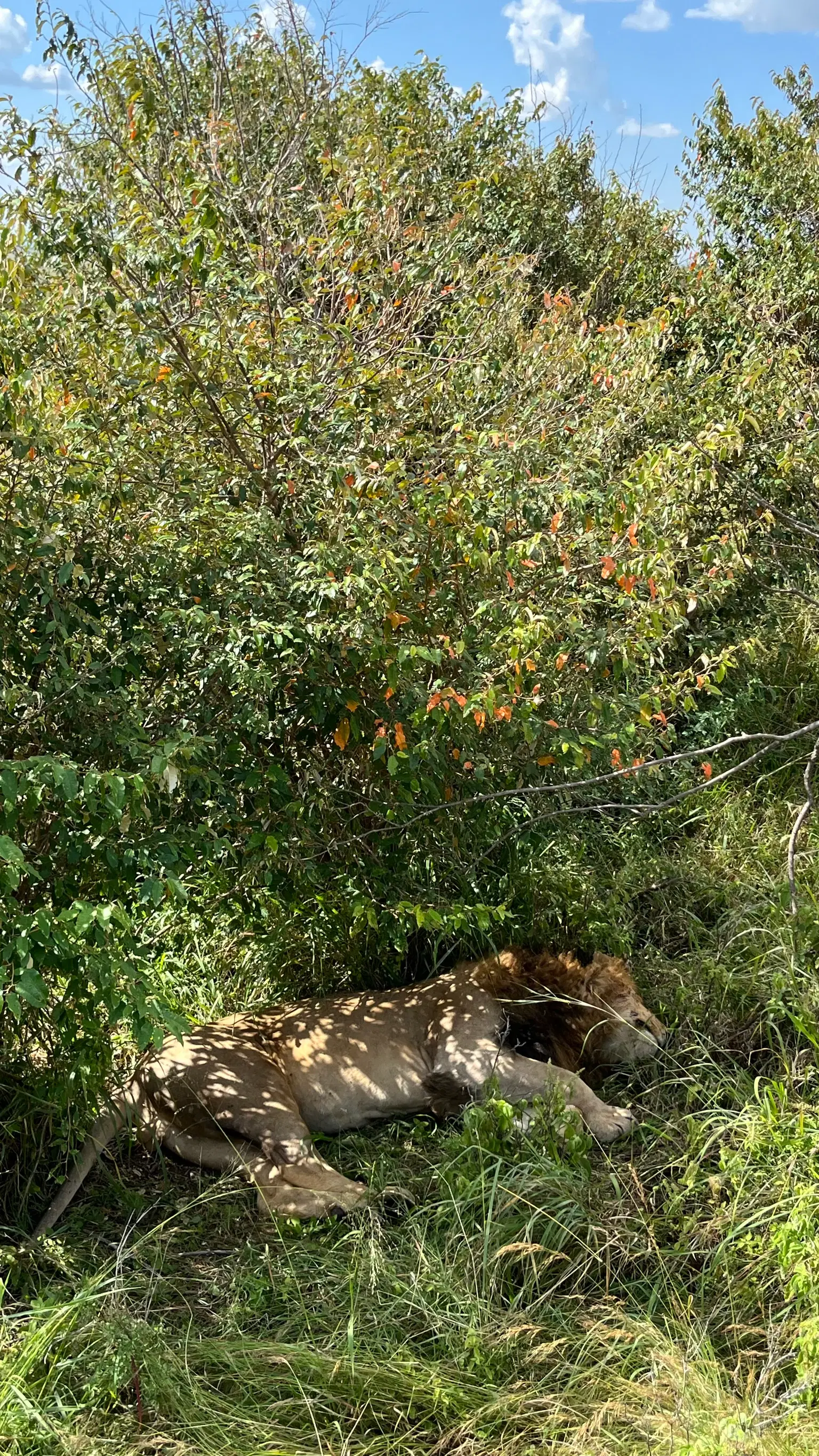 Photo from Akshaya Kamath's trip