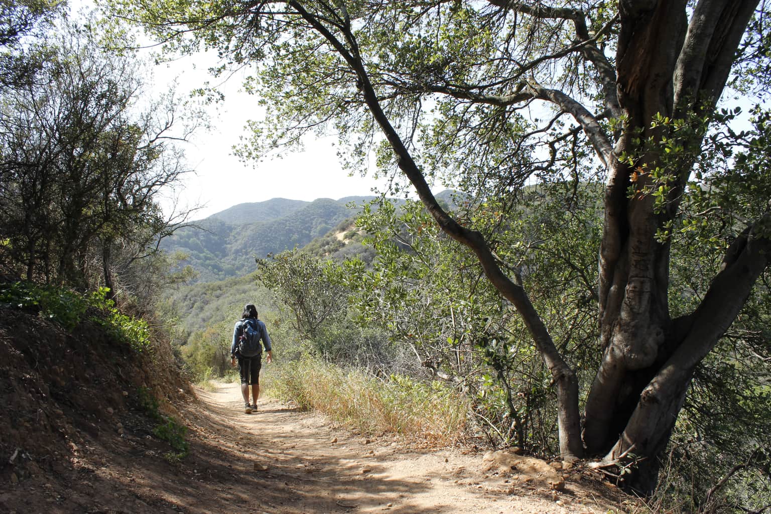 Go Hiking
