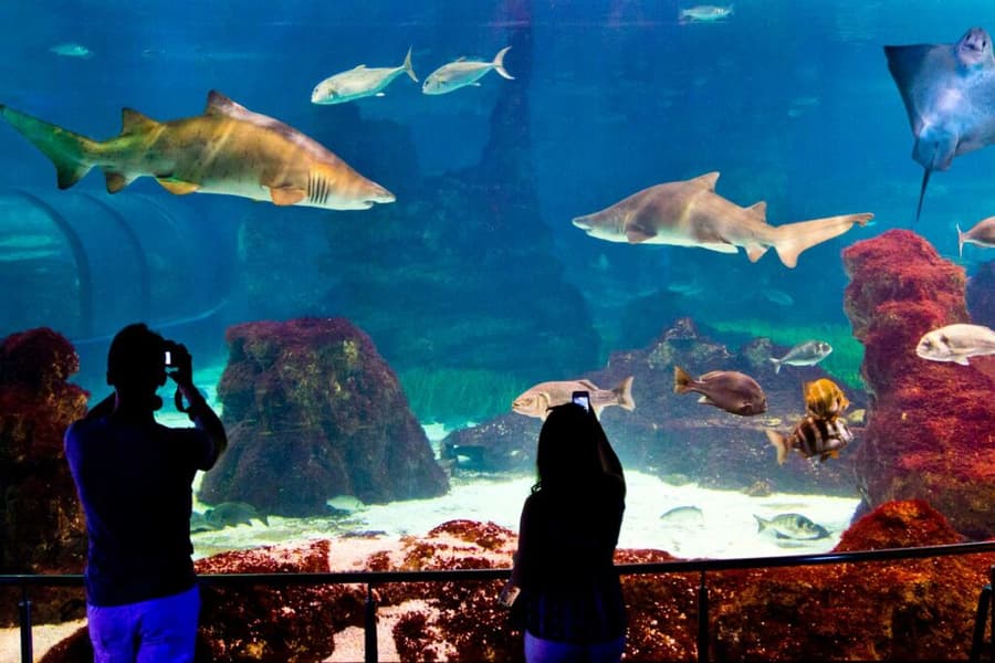 Aquarium Barcelona Tickets Image