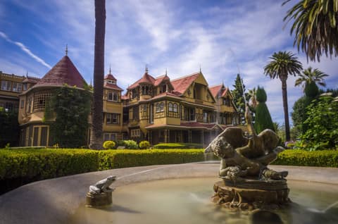 Activity & SightSeeing Image