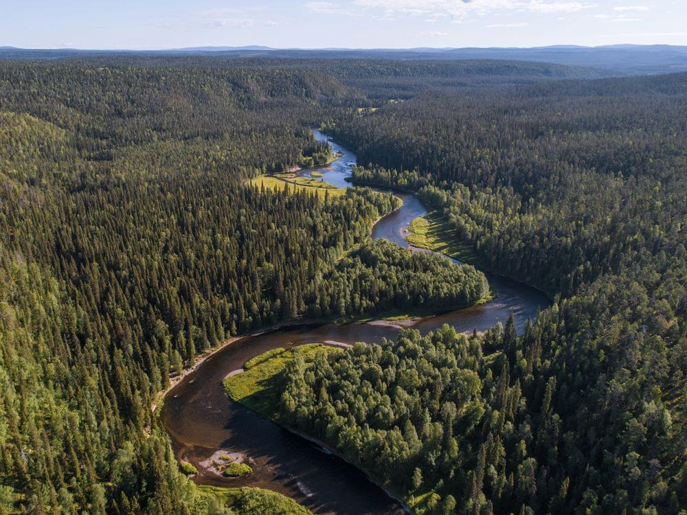 Magical Taiga Forest Hike