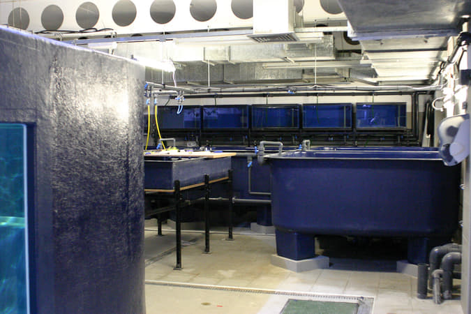 National Marine Aquarium