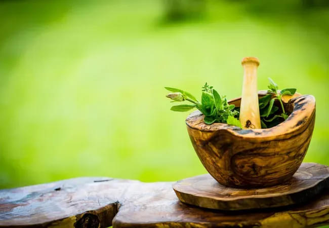 Traditional medicinal plants.JPG