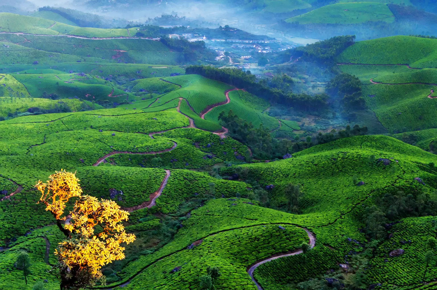 <em>Kerala</em> Tour Packages From Guwahati