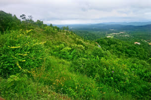 Ockts2mhpipabzw0ivbp96j1jn71 1589294496 shutterstock 705213130