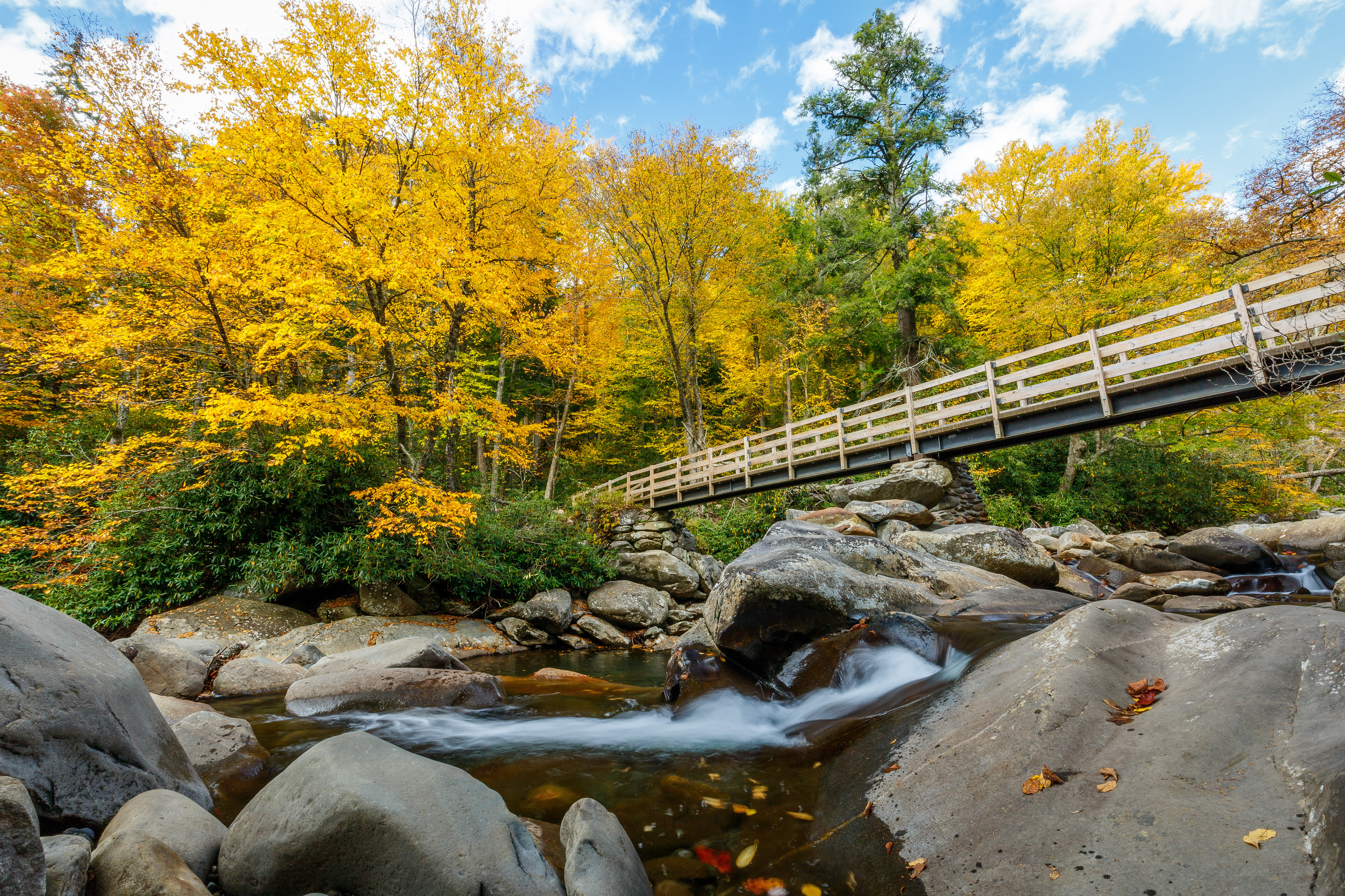 Great Smoky Mountains National Park Self Driving Tour, Tennessee