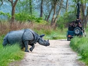 Jeep Safari In Kaziranga National Park