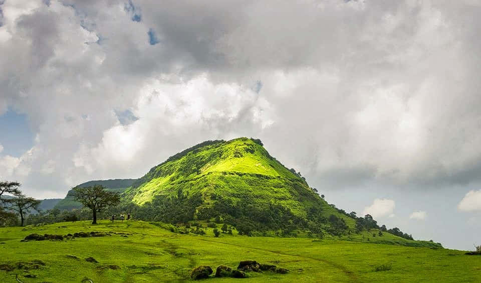Garbett Plateau Trek