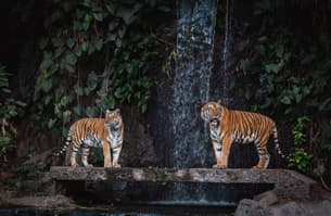 Odpzj296tga0foh1wgbhml27jbob shutterstock 2331758089