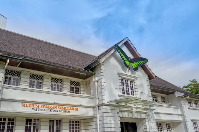 Sarawak Natural History Museum.jpg