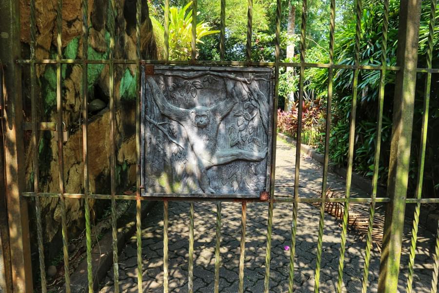 Singapore Zoo Tips
