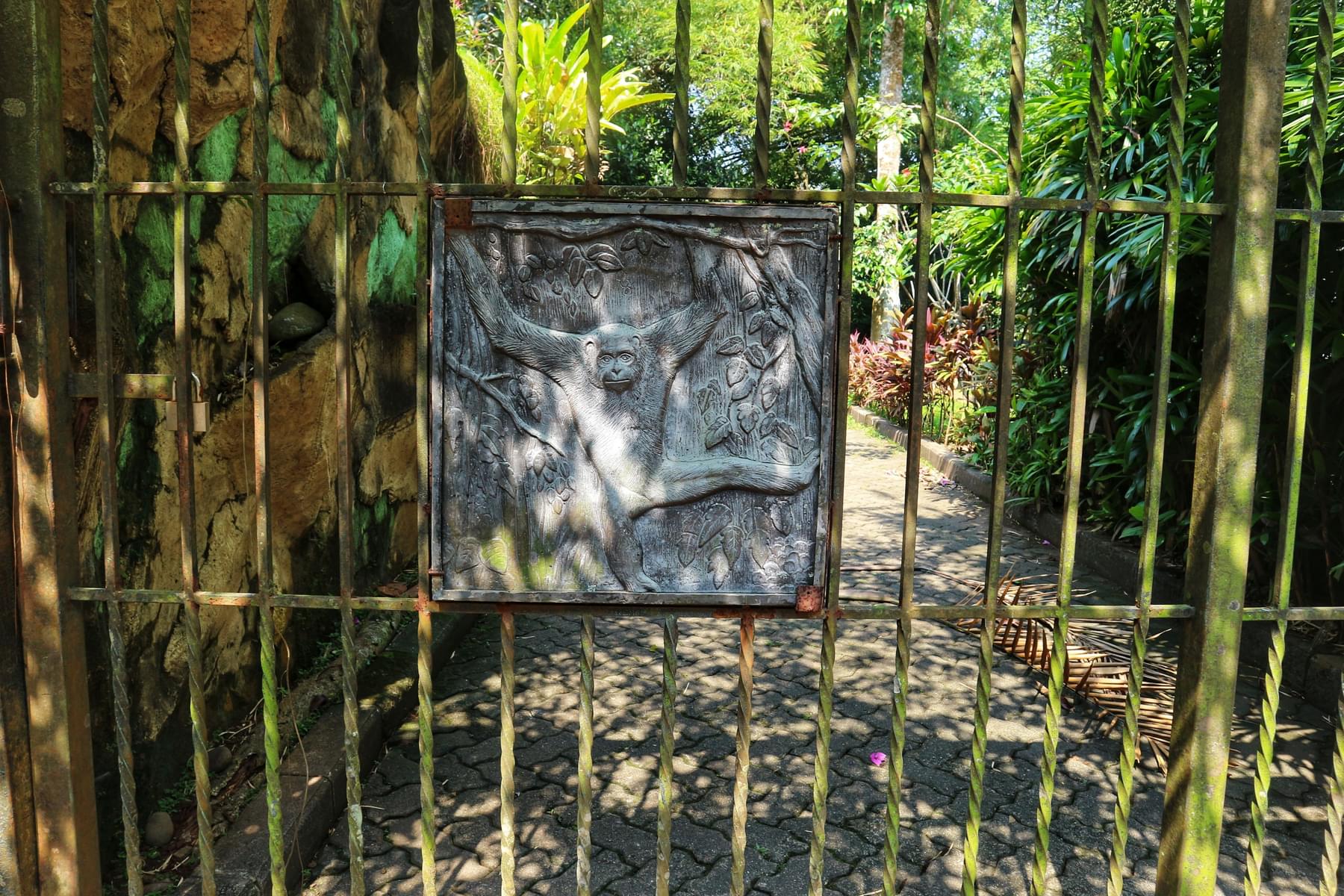 Know Before You Go to Singapore Zoo