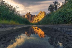 Oea5l8bgy3akiby0j41oln9lrk09 145%20(9)