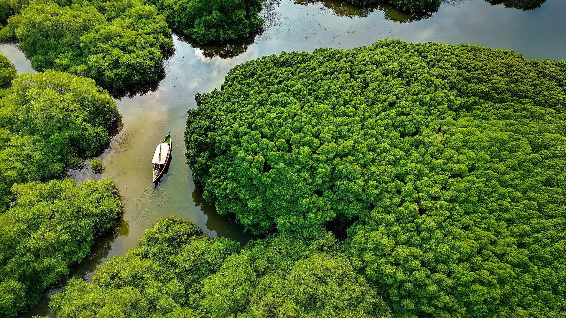 Try your luck at Fishing