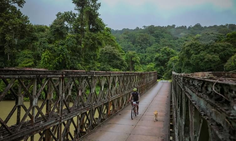 Forest Station Rangat