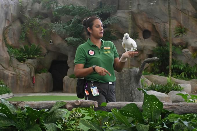 Bird Watching at Bird Paradise Singapore