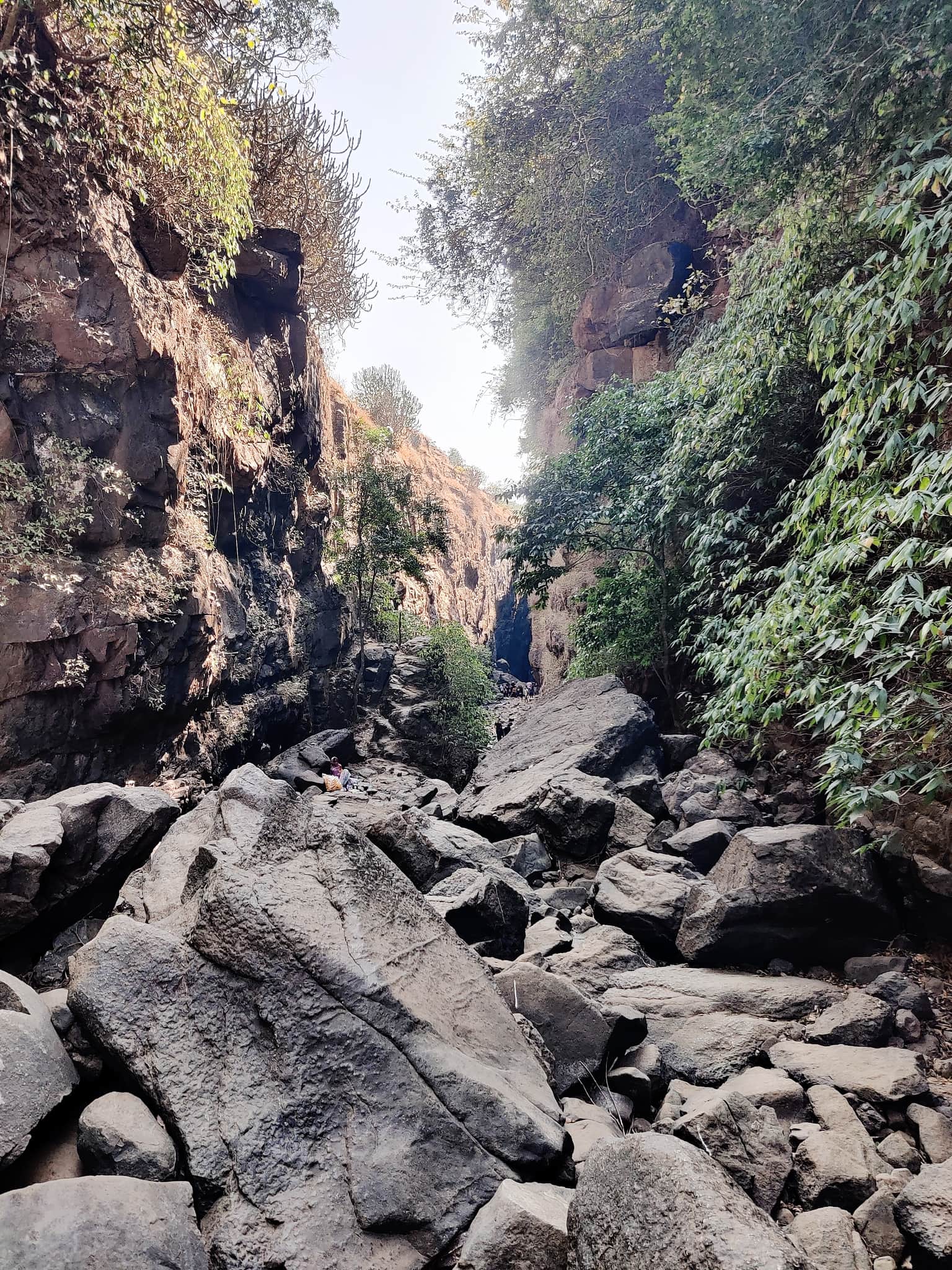 Photo from NAGESH KAMATH's trip