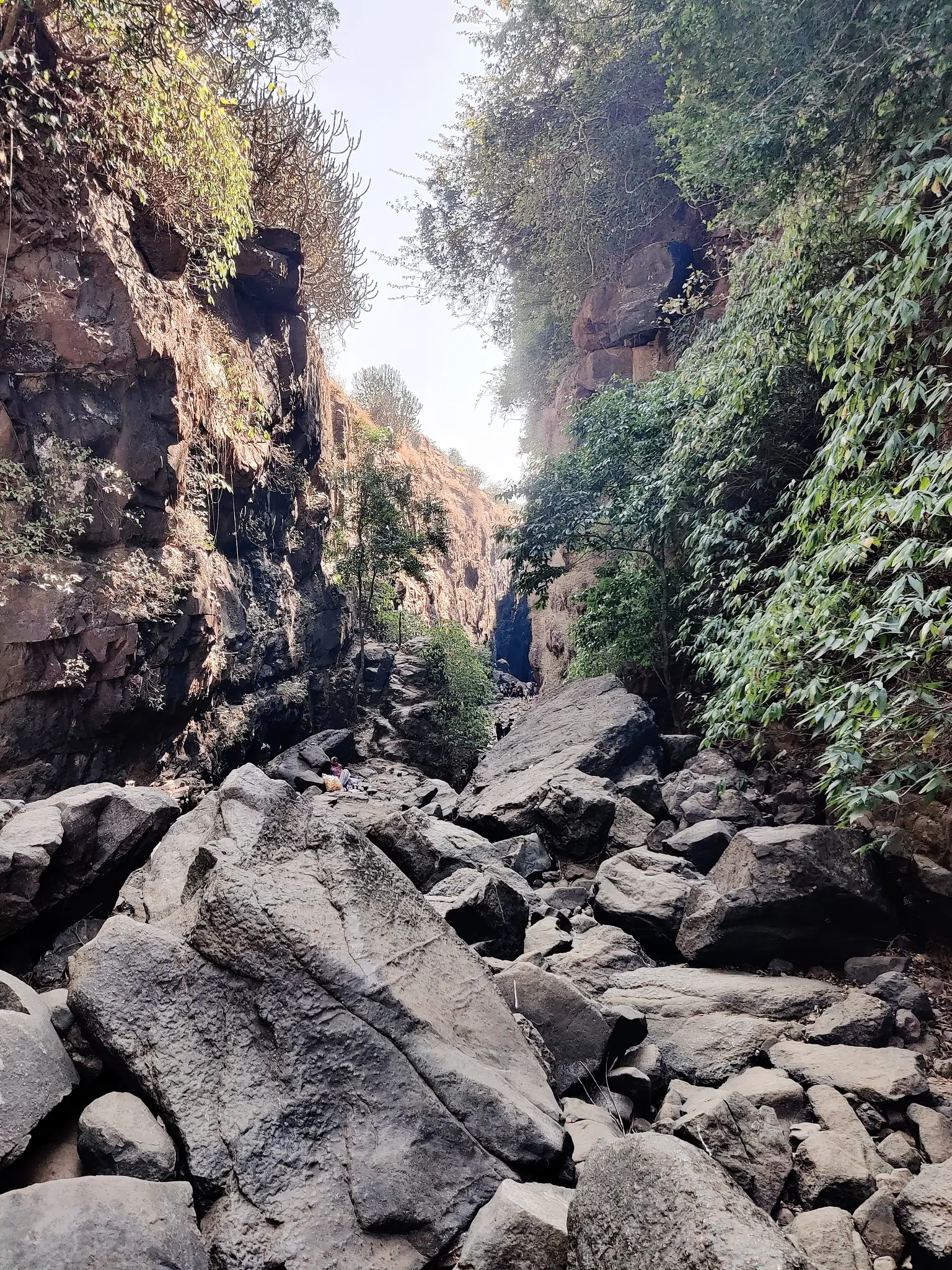 Photo from NAGESH KAMATH's trip