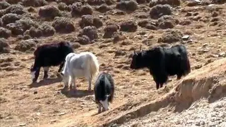 Photo from Kali Ahluwalia's trip