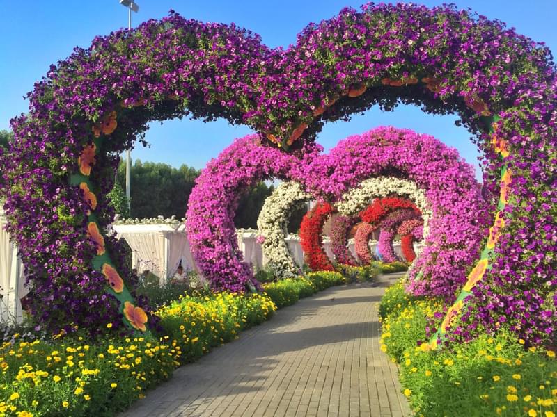 Dubai City Tour with Miracle Garden Image