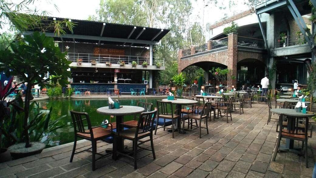 Dine by the Poolside Ambience