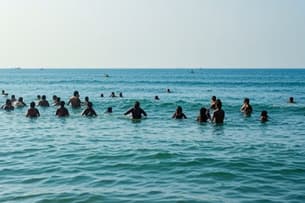 Ogx6ms4n3d1kqid8kq6hc5zeoavj ohv1lxogdr6slmzr96az16myczr6 swimming%20session%20chennai