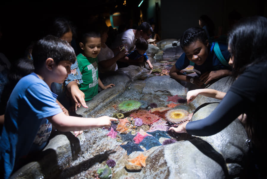 Aquarium of the Pacific Tickets Image