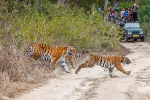 Oh3qn7ymhidbf5tal9degvpfr9vg downpic.cc image69614741