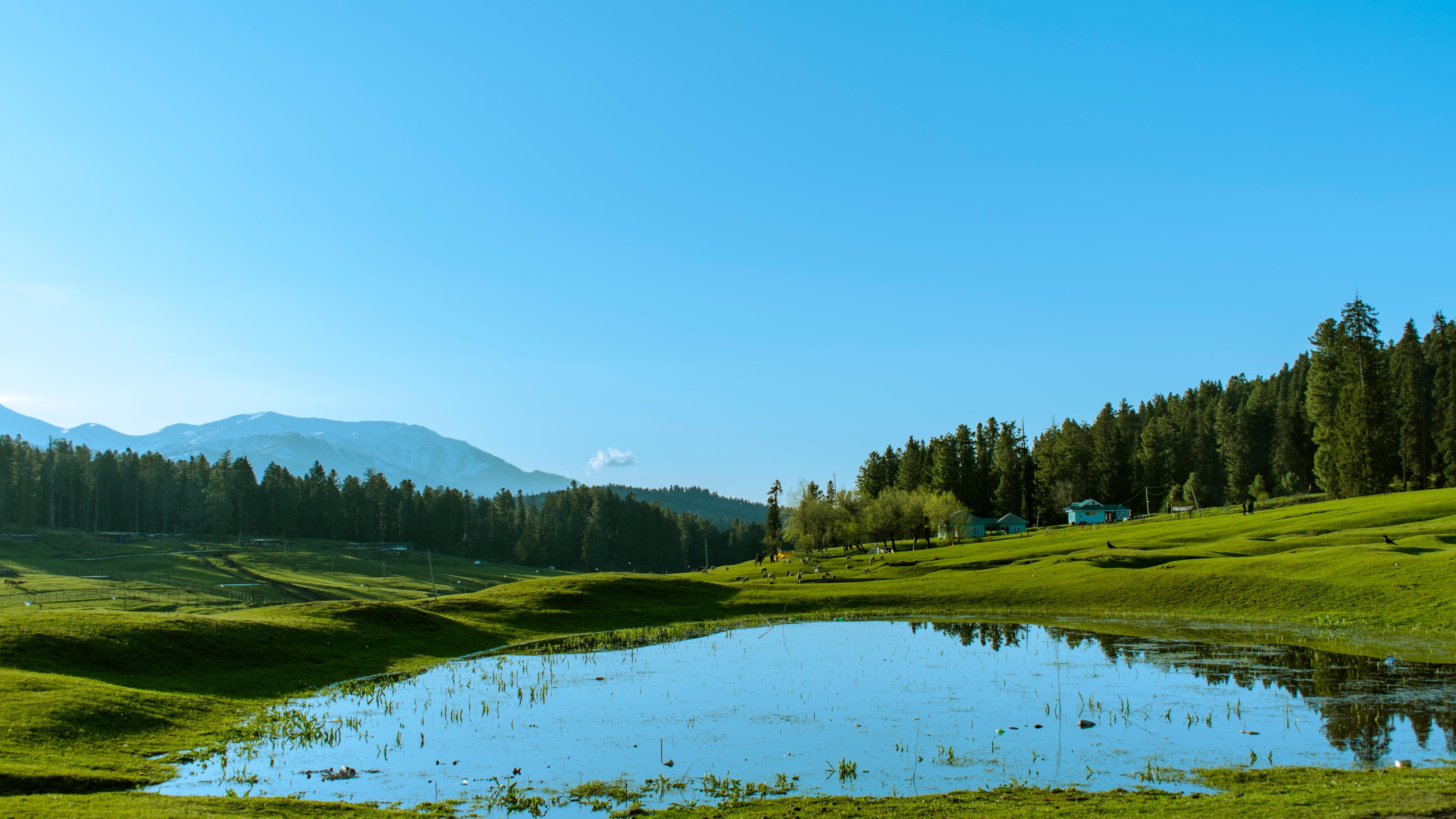 Yusmarg Sightseeing Tour