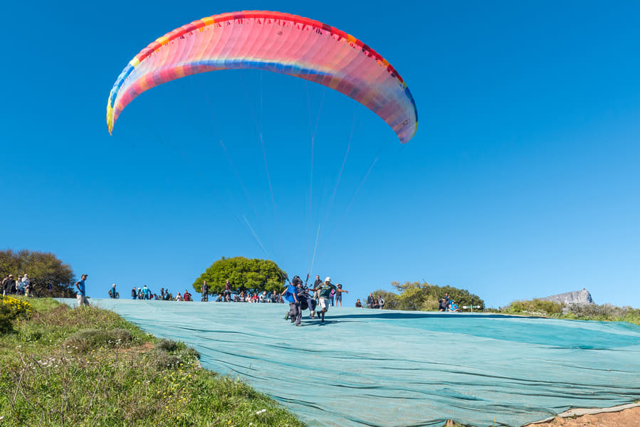 Paragliding Cape Town Experience Image