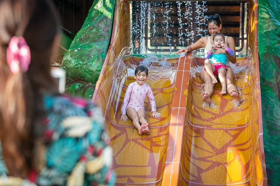 Let the kids have fun while riding slides!
