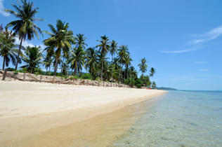 Ohr5gqkvef98mpayy7wvwo5oueg9 1627305119 shutterstock 497656390