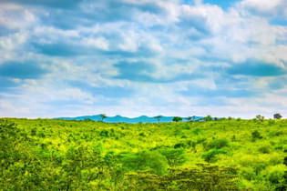 Oiebzh4ok3fte7qesf0ocl7bfifv 1481609143 ngong' hills  nairobi  kenya