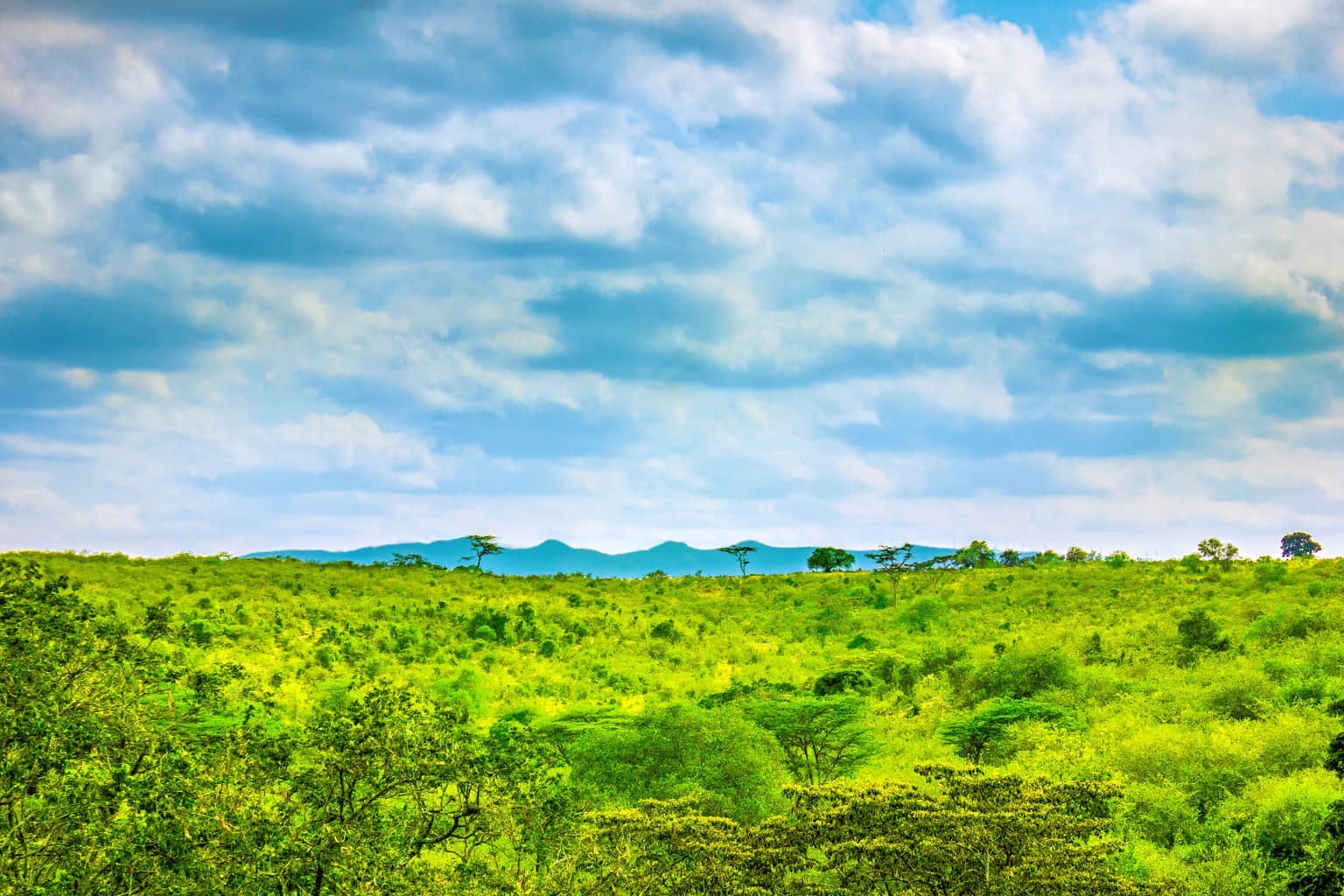 Ngong Hills