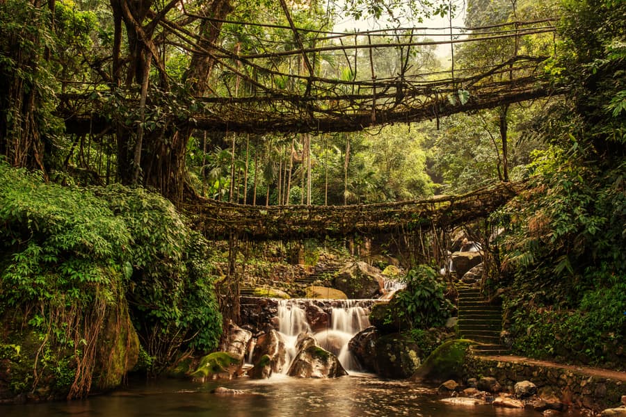 Trails of Meghalaya | Lakes, Falls and Root Bridges Image