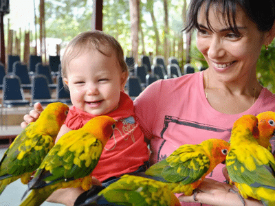 Your kids will love to interact with these parrots