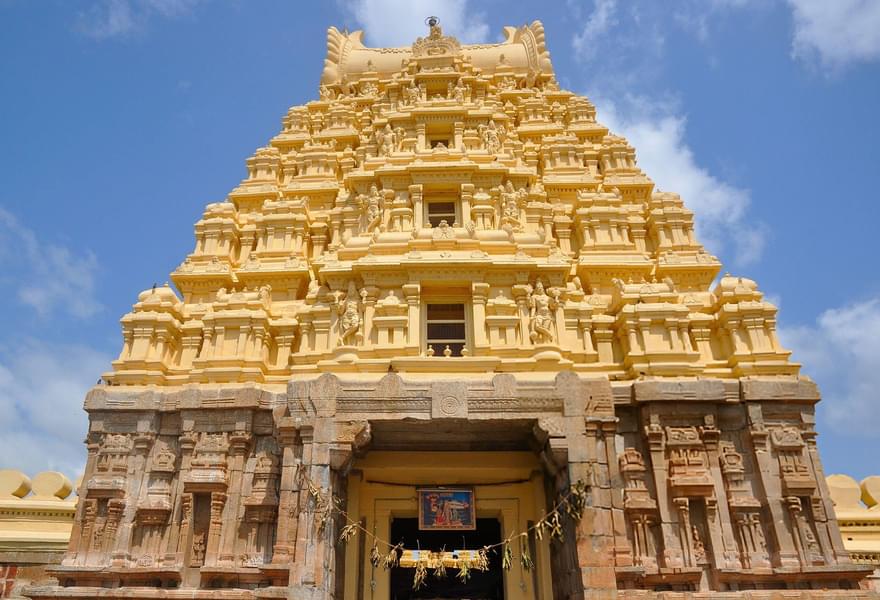 Mysore Sightseeing Tour Image