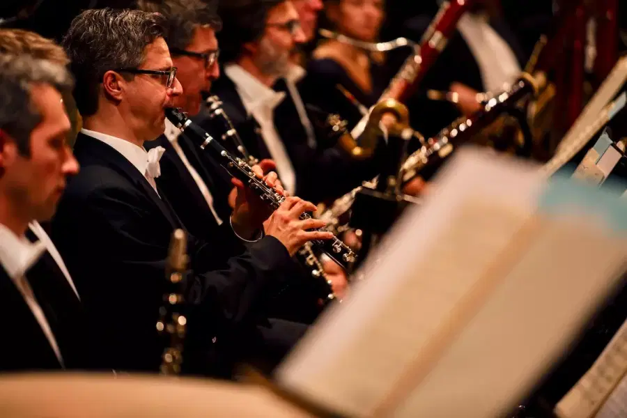 Vienna Music Society Tickets Image