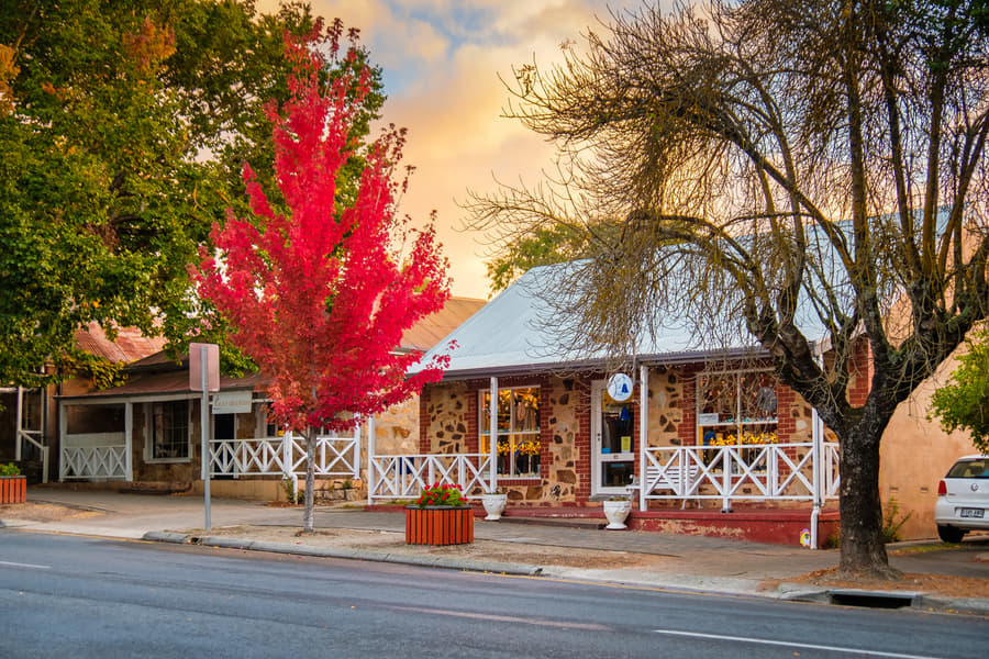 Scintillating Tour to Australia Image