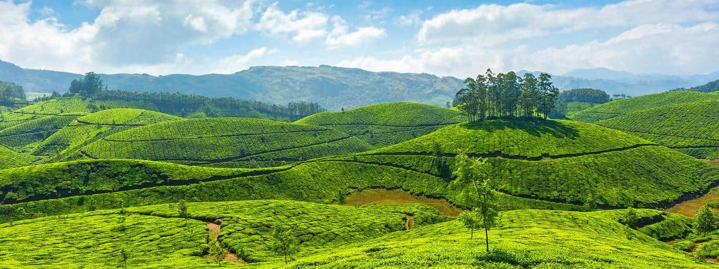 Munnar sightseeing places