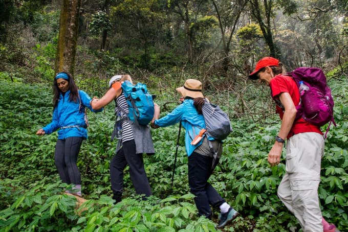 Kurangani Sambalaru Trek, Tamil Nadu