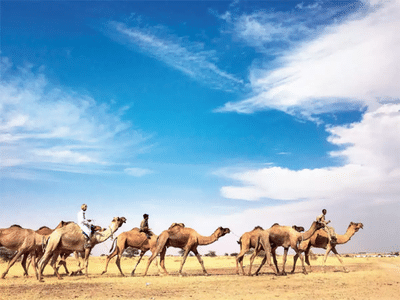 Jaipur Jodhpur Jaisalmer Tour Package Day 3