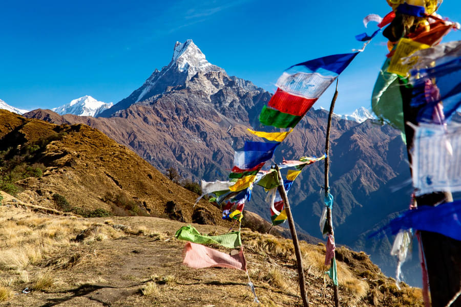 Mardi Himal Trek Image