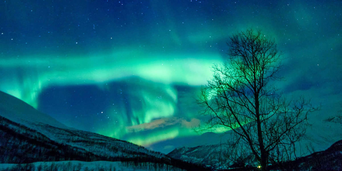 Tromso Northern Lights Chase Image