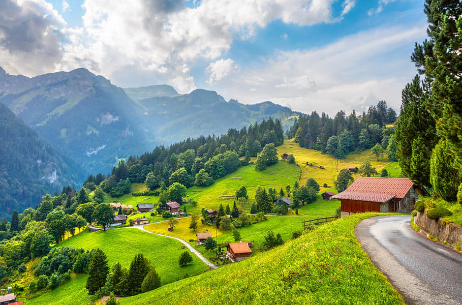 Enjoy scenic views of the Swiss Alps