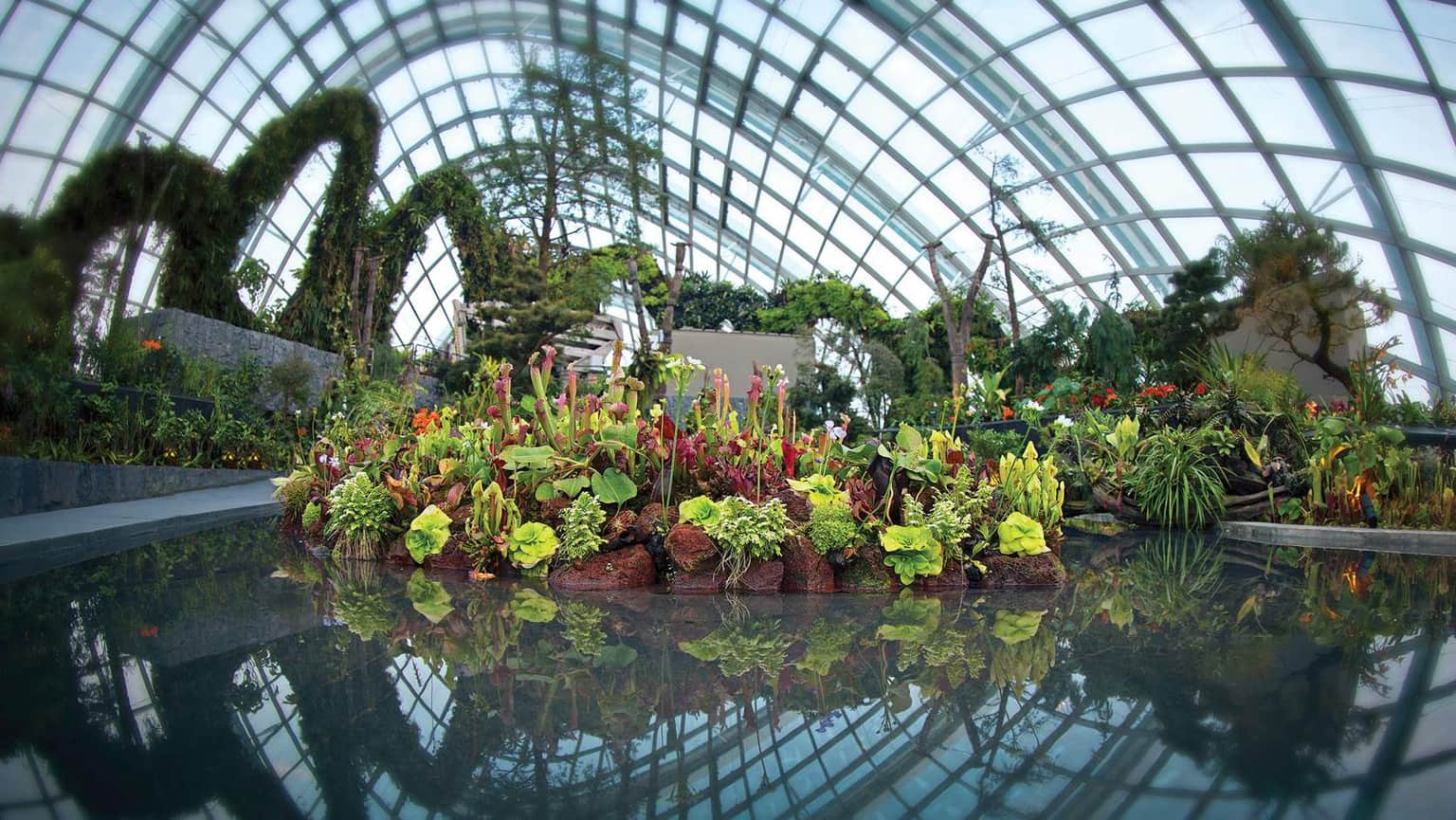 Find yourself mesmerized at the Lost World