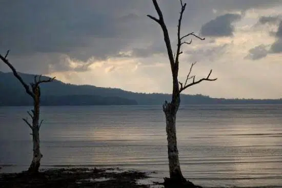 Photo from Gudakesa Prajapat's trip